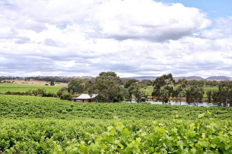 스톤웰 코티지 앤 빈야드스 Barossa Valley 외부 사진